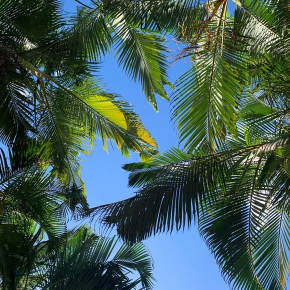 Meet your Posher, Mandy - Picture 1 of 1